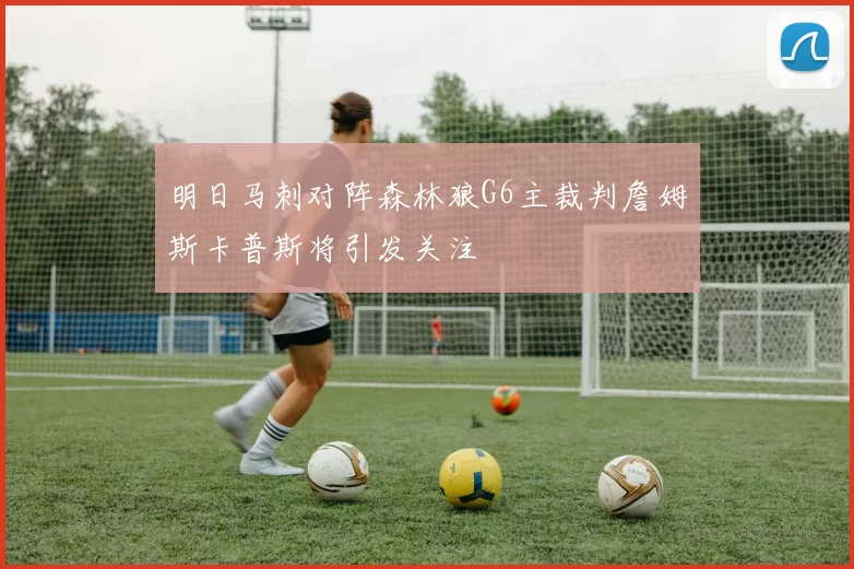 明日马刺对阵森林狼G6主裁判詹姆斯卡普斯将引发关注