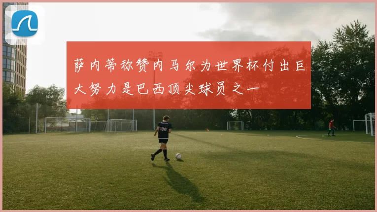 萨内蒂称赞内马尔为世界杯付出巨大努力是巴西顶尖球员之一